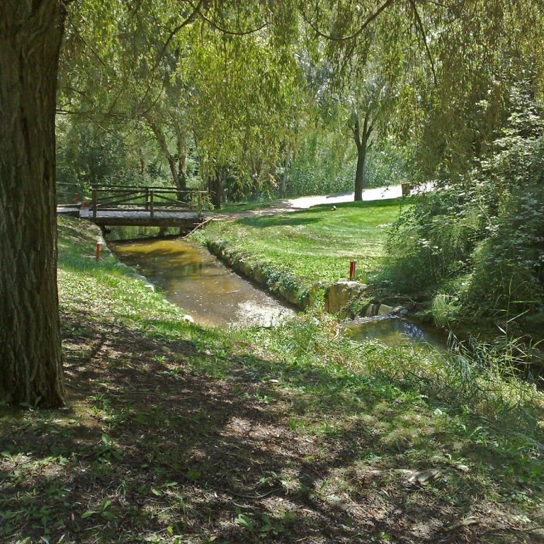 Parkszene mit einem Bach, einer kleinen Holzbrücke und einem großen Baumstamm.
