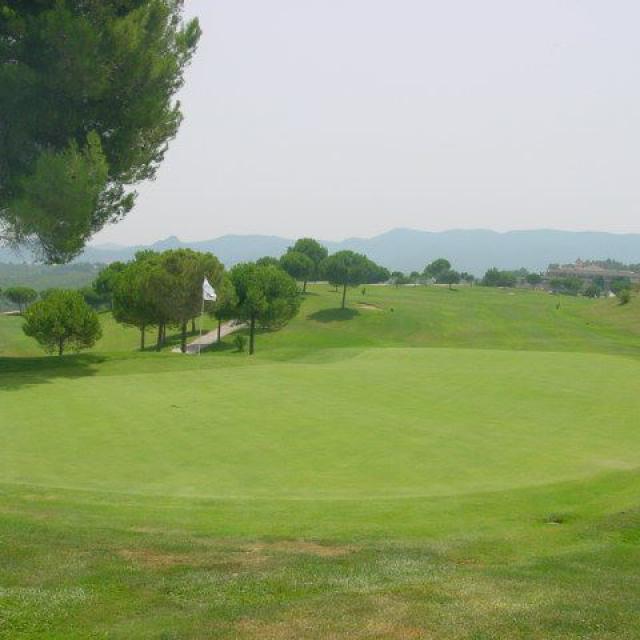 Weitwinkelaufnahme eines großen Golfplatzes mit viel grünem Rasen und Bäumen im Hintergrund.