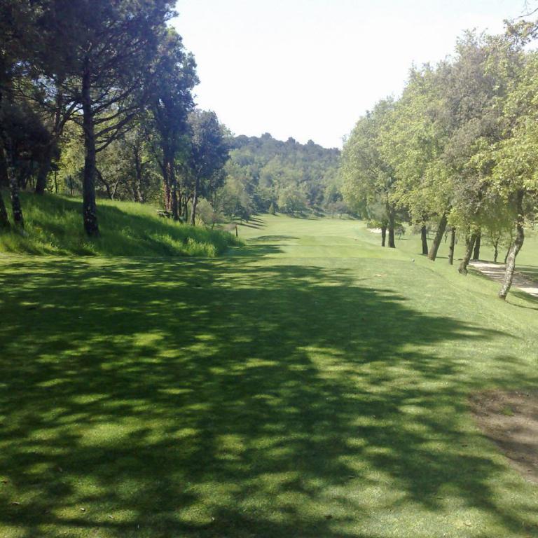 Eine weitläufige grüne Wiese mit Schattenwürfen von Bäumen auf einem Golfplatz.
