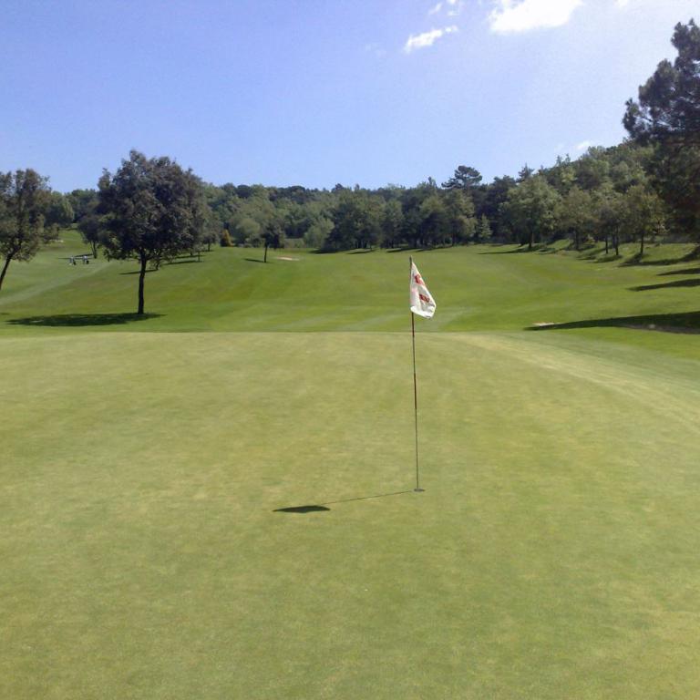 Ein weitläufiger Golfplatz mit einem Fahnenmast in der Mitte und Blick auf einen dichten Wald.