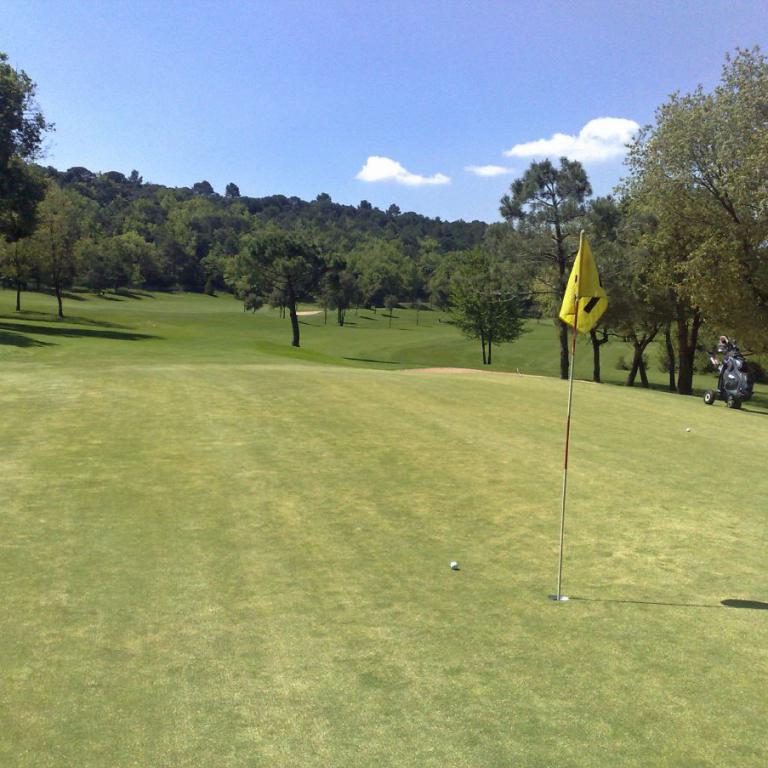 Ansicht eines Golfplatzes bei Sonnenschein, mit einem großen, grünen Rasen im Vordergrund und Bäumen im Hintergrund.