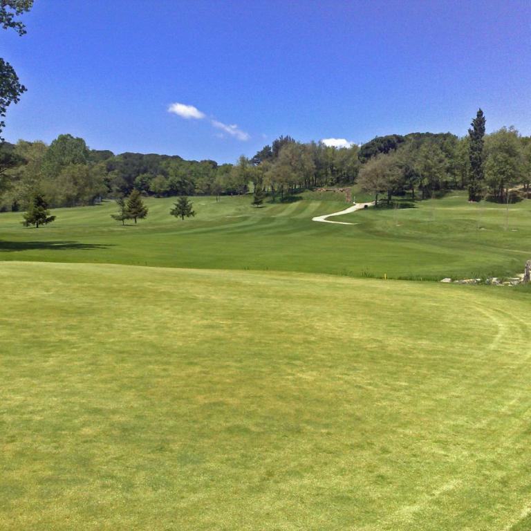 Eine weite, grüne Rasenfläche eines Golfplatzes mit Waldkulisse unter blauem Himmel.