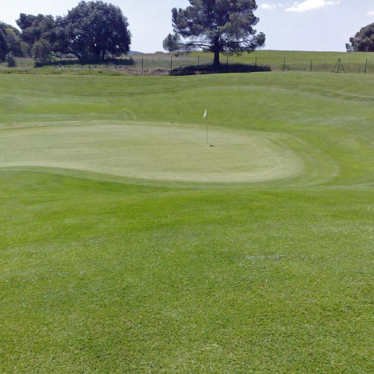 Ein gepflegter Golfplatz mit einem deutlich sichtbaren Grün und einem Fahnenmast.