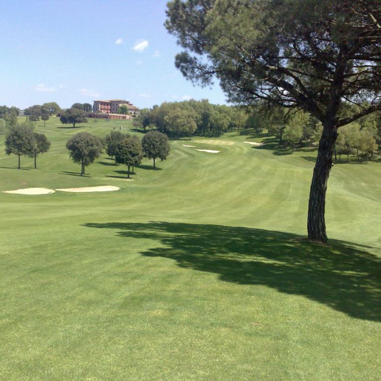 Ein sonniger Blick auf einen Golfplatz mit einem großen Baum im Vordergrund und einem Resort im Hintergrund.