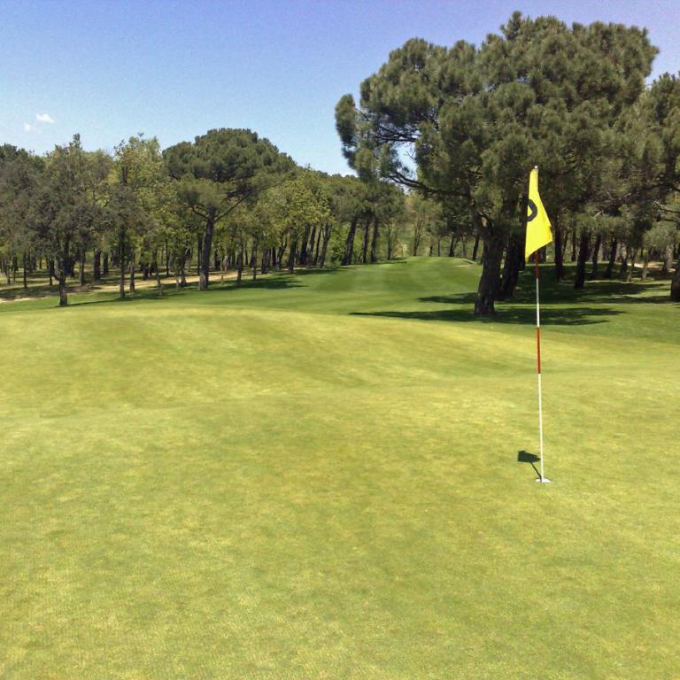 Ein weitläufiger Golfplatz mit sattgrüner Rasenfläche, Bäumen im Hintergrund und einem markierten Fahnenpfahl.
