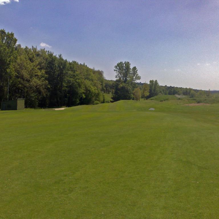 Eine weite, gepflegte Rasenfläche auf einem Golfplatz vor einem Hintergrund aus dichtem Baumbestand und blauem Himmel.