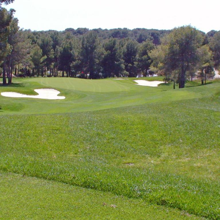 Eine weite Grünfläche eines Golfplatzes mit einem Bunker und einem angrenzenden Waldgebiet im Hintergrund.