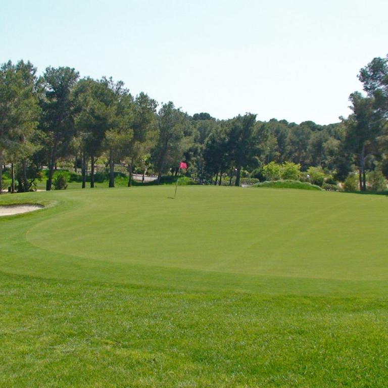 Eine weite Golfgrünfläche mit einem Flaggenmasten in der Mitte und einem Waldrand im Hintergrund.