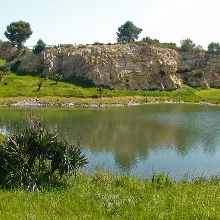 Ein ruhiger Teich vor einer steilen, felsigen Klippe, umgeben von grüner Wiese.