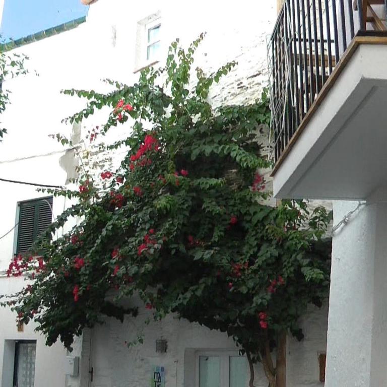 Eine enge, weiß getünchte Gasse, die von einem üppigen, blühenden Strauch mit roten Blüten dominiert wird.
