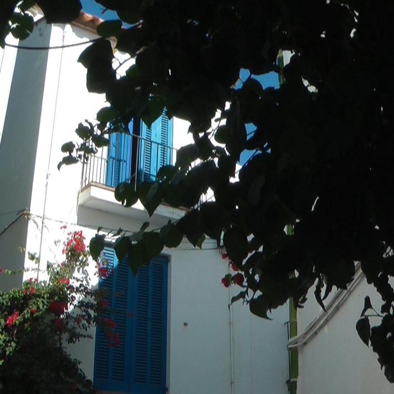 Ein weißes Gebäude mit blauen Shuttern, teilweise von dichtem, dunklem Blattwerk im Vordergrund verdeckt.