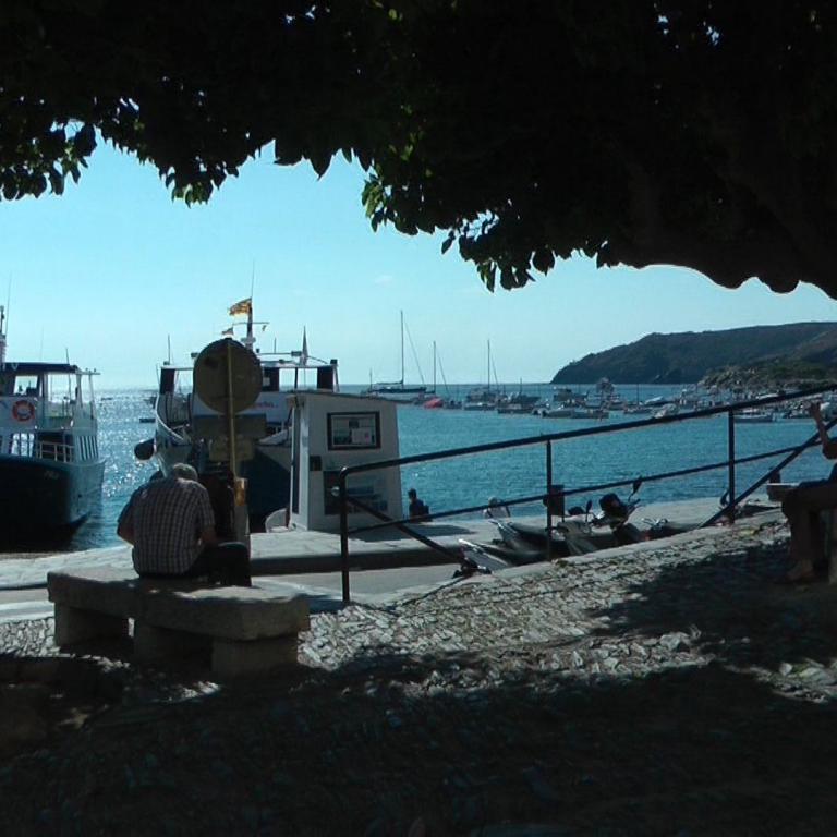 Panoramablick über einen belebten Hafen von unter großen Bäumen, mit Booten und einem Küstenstädtchen im Hintergrund.