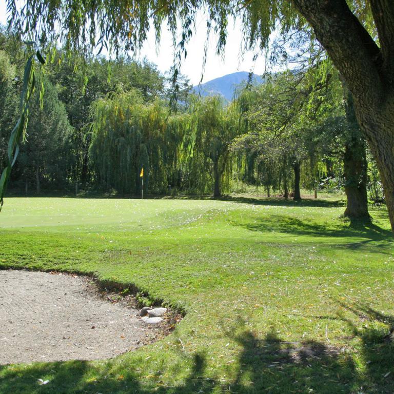 Eine idyllische Parklandschaft mit einem großen Vordergrundbaum, einem Sandbunker und einer gepflegten Rasenfläche.