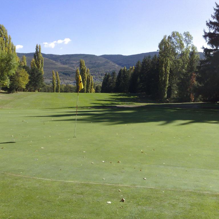 Grüner Golfplatz mit Fahnenstangen und Bäumen im Hintergrund unter blauem Himmel.