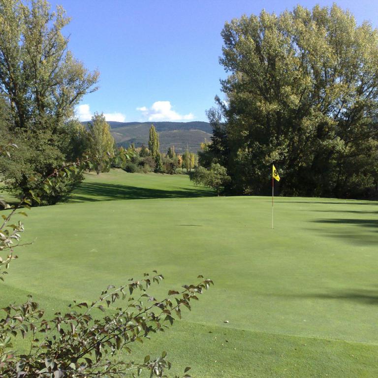 Grüner Golfplatz mit Bäumen und blauem Himmel