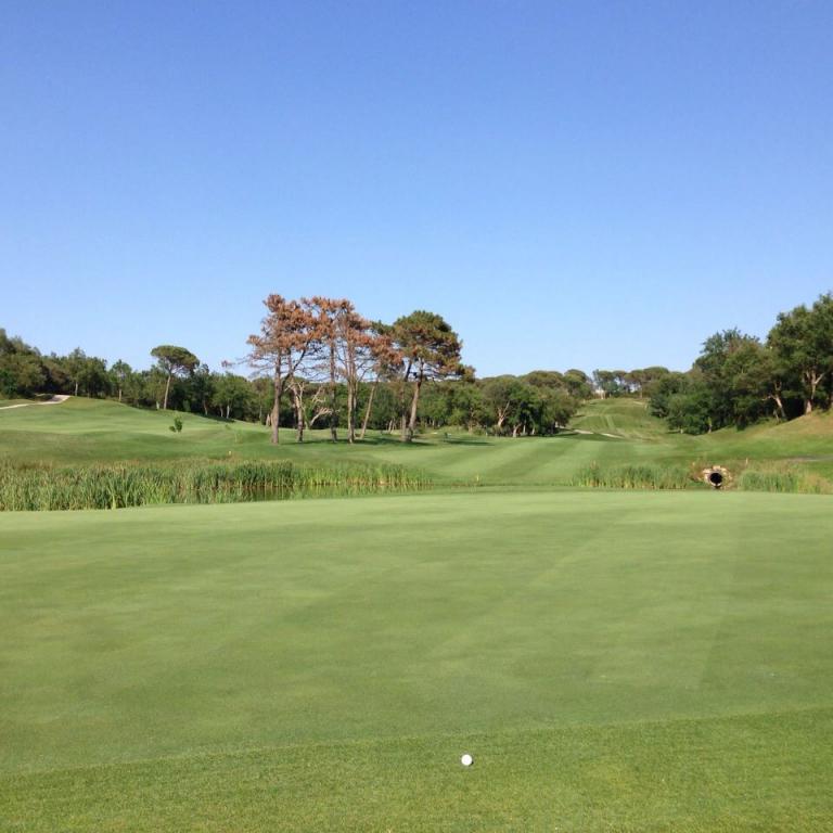 Eine grüne Golf-Fairway mit Blick auf den Horizont und einem blauen Himmel