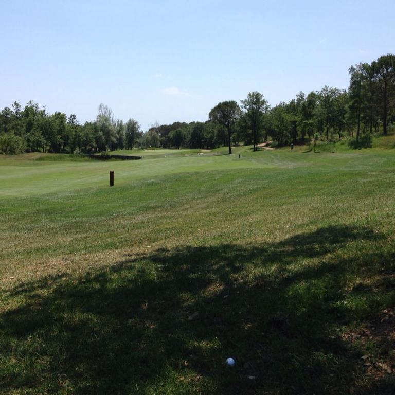 Ansicht eines gut gepflegten Golfplatzes mit freiem Grün, einem Golfball und Hintergrundbäumen unter blauem Himmel.