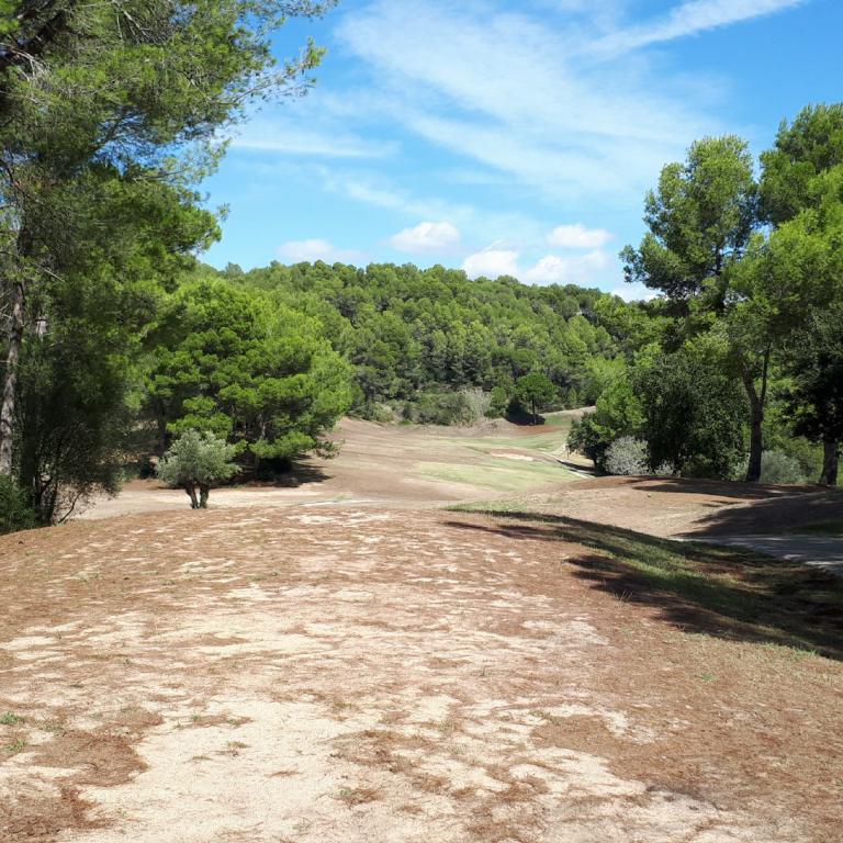 Ein weitläufiger Golfplatz mit trockenem Fairway, einem gepflasterten Weg und dichtem Wald im Hintergrund unter blauem Himmel.