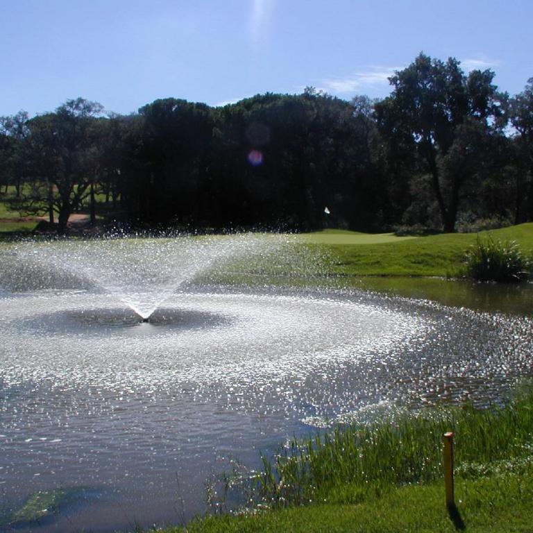 Ein Wasserloch auf einem Golfplatz mit einem großen Wasserstrahl in der Mitte.