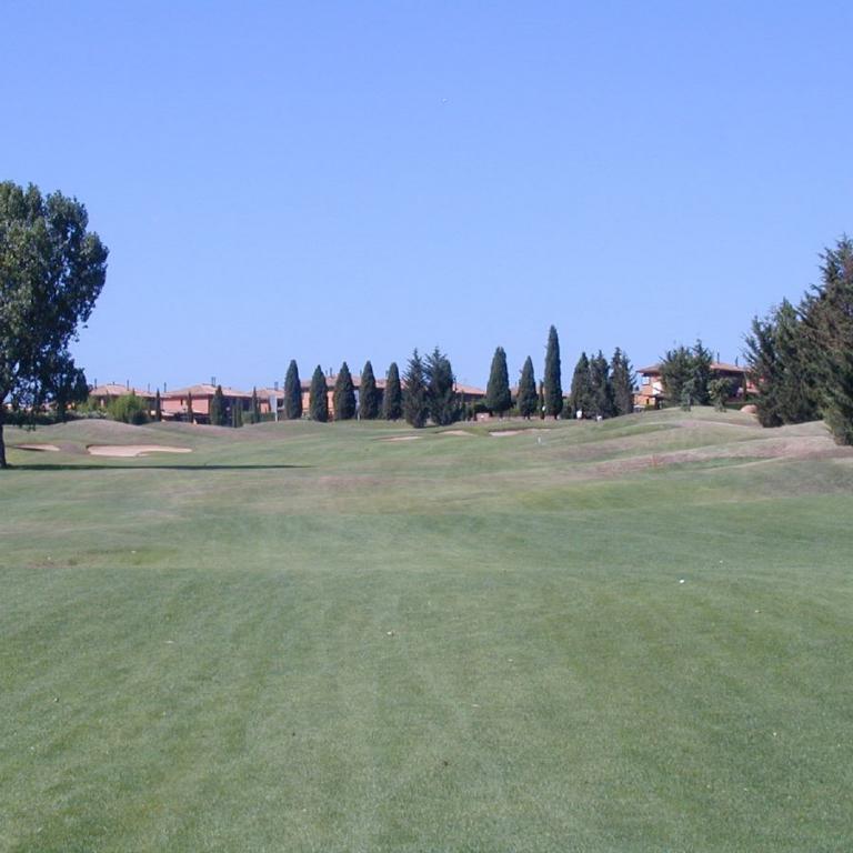 Weitwinkelaufnahme eines Golfplatzes mit großer Rasenfläche im Vordergrund und einer Baumreihe mit Gebäuden am Horizont.