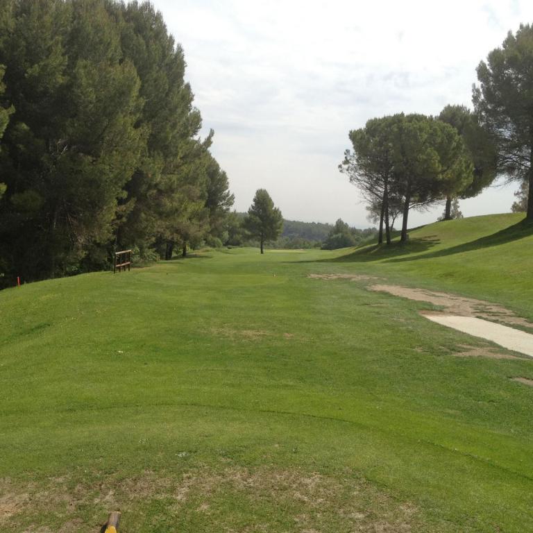 Grünfläche eines Golfplatzes mit einem Weg und dichtem Baumbestand.