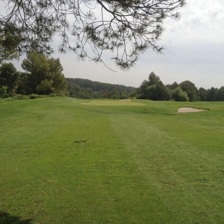 Blick auf einen weitläufigen, grünen Golfplatz mit Bäumen im Hintergrund, gerahmt von Ästen.