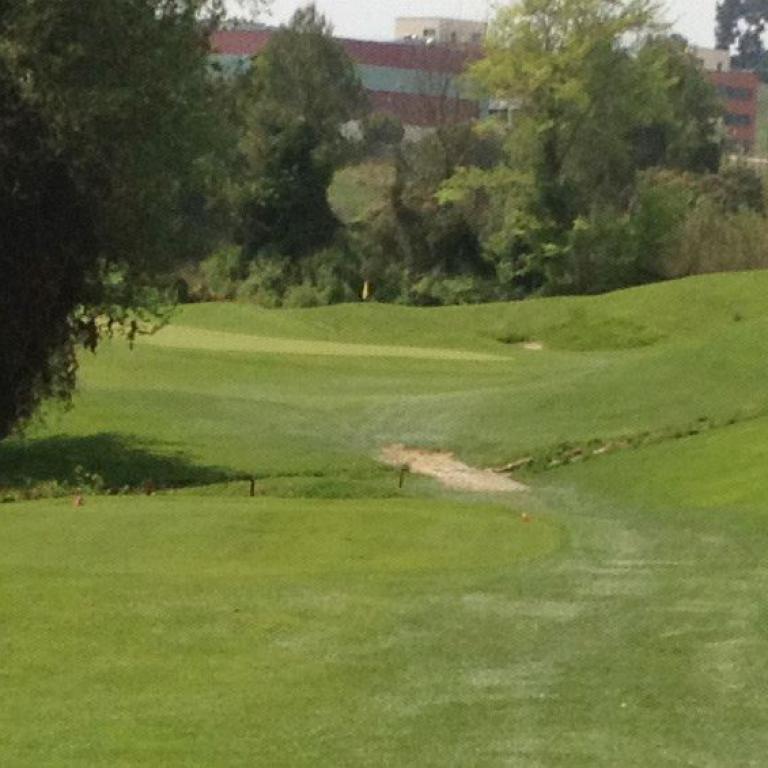 Ein weitläufiger, grüner Golfplatz mit einem sandigen Weg, der über das Gras führt.