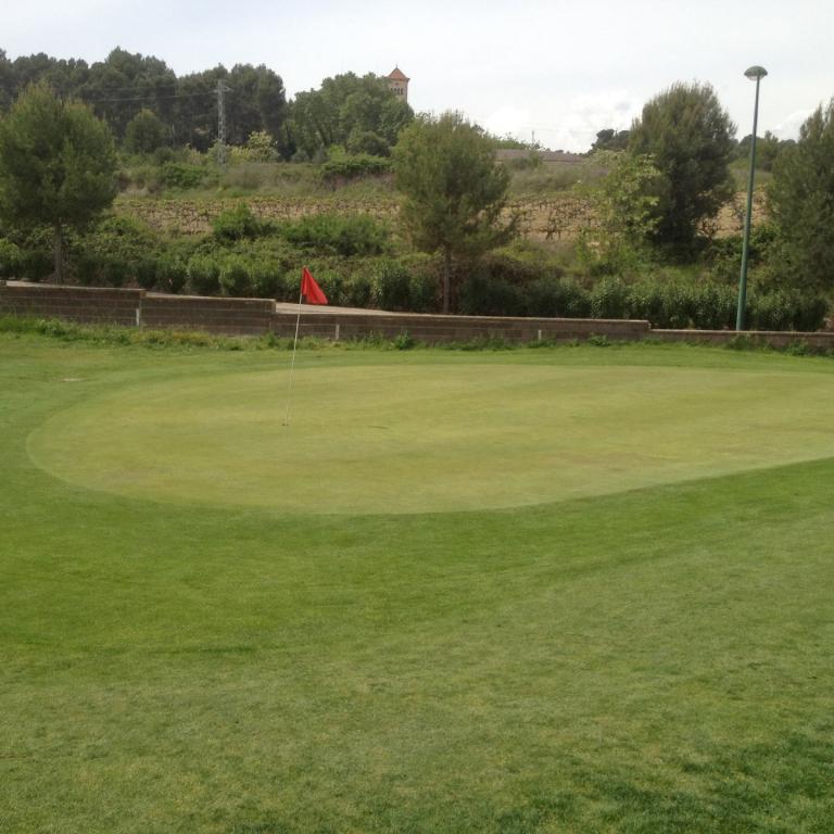 Ein gepflegter Golfplatz mit einem großen Putting Green im Vordergrund, umgeben von Bäumen und Rasenflächen.