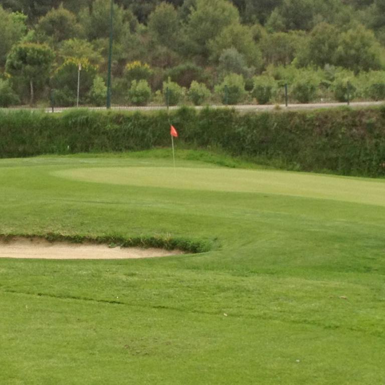 Ein Golfgreen mit einem Bunker im Vordergrund und einem Fahnenmast in der Mitte, dahinter eine Waldkulisse.