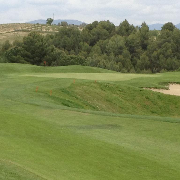 Ein weitläufiger Golfplatz mit einem grünen Fairway, der zu einem bewaldeten Hang hinabsteigt, mit Weinbergen im Hintergrund.
