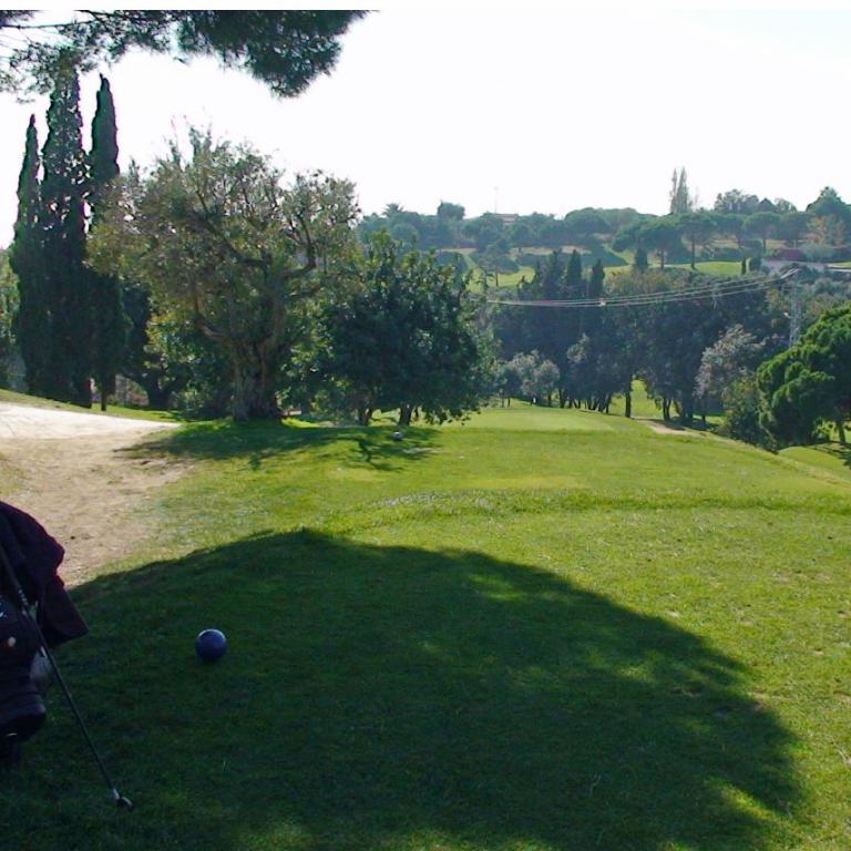 Eine weite Golflandschaft mit Bäumen, Graskache und einem Golfwagen im Vordergrund.