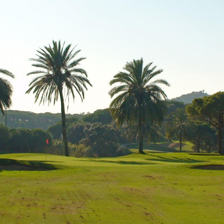 Ein weitläufiger Golfplatz mit mehreren Palmen und einem grünen Hang im Hintergrund.