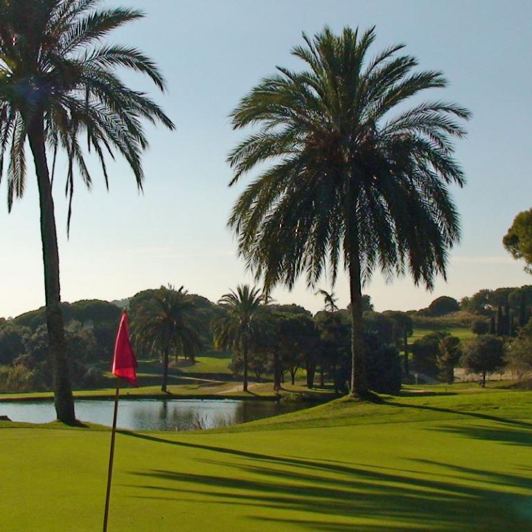 Zwei Palmen auf einem sonnigen Golfplatz mit Wasserbecken und grüner Vegetation im Hintergrund.