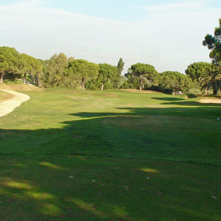 Eine weitläufige Rasenfläche eines Golfplatzes mit einem Weg am linken Bildrand und dichtem Baumbestand im Hintergrund.