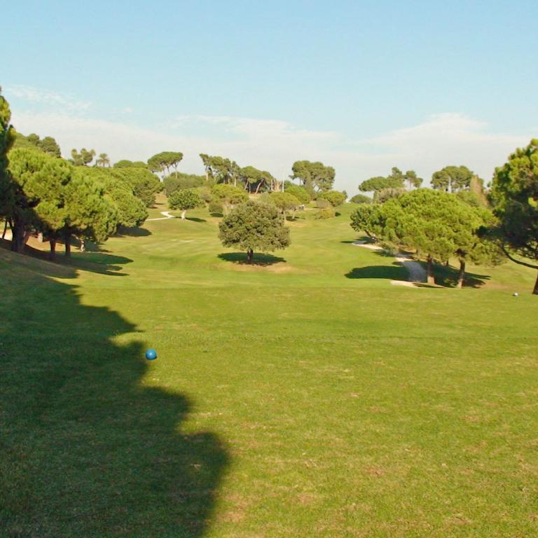 Weitläufige Grünfläche eines Parks mit vielen Bäumen unter blauem Himmel.