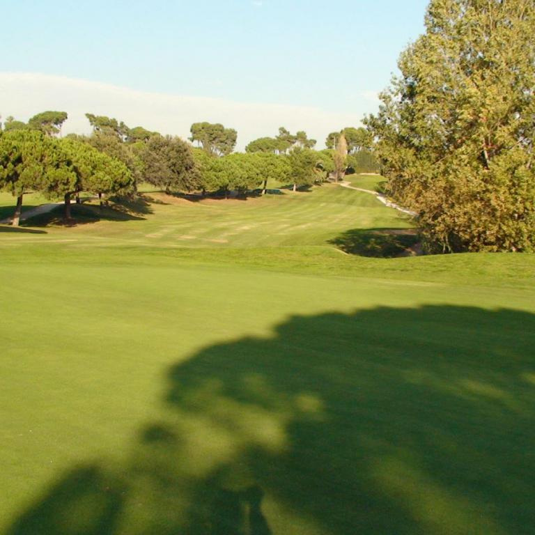 Eine weite Golfplatzlandschaft mit intensiv grünen Grashalmen und säumenden Bäumen unter blauem Himmel.