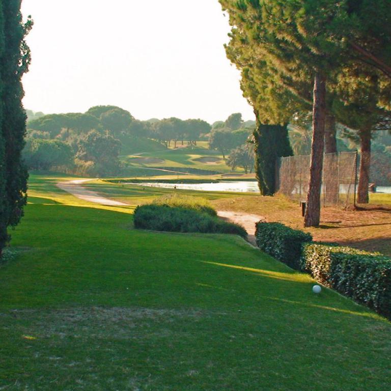 Ein grüner Golfplatz mit einem Teich im Hintergrund und Bäumen an den Rändern.