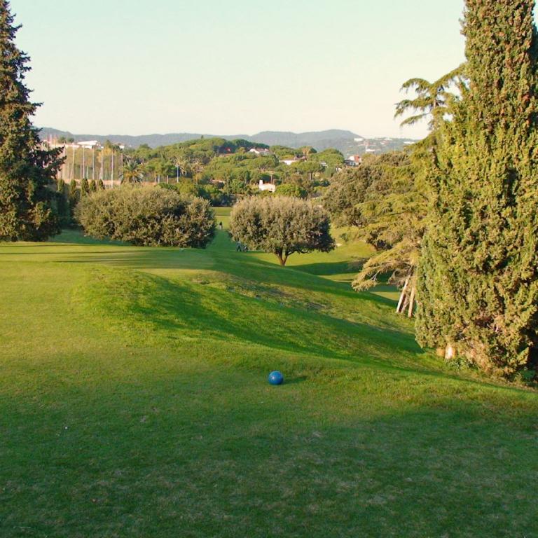 Eine grüne Rasenfläche mit einem Golfball, umgeben von hohen Bäumen und einer hügeligen Landschaft im Hintergrund.