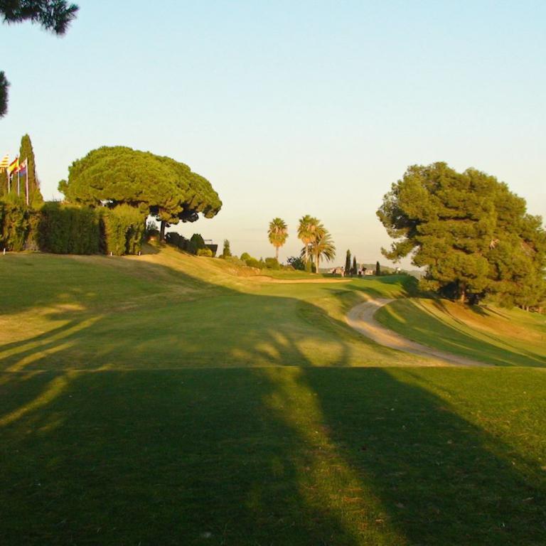 Grüne Golfplatzlandschaft mit gewundenem Pfad, umgeben von Palmen und Bäumen unter blauem Himmel.