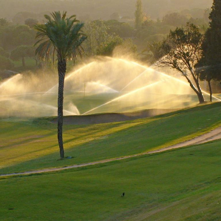 Ein Sprinkler bewässert einen großen, grünen Rasen bei Sonnenaufgang in einer Parklandschaft.