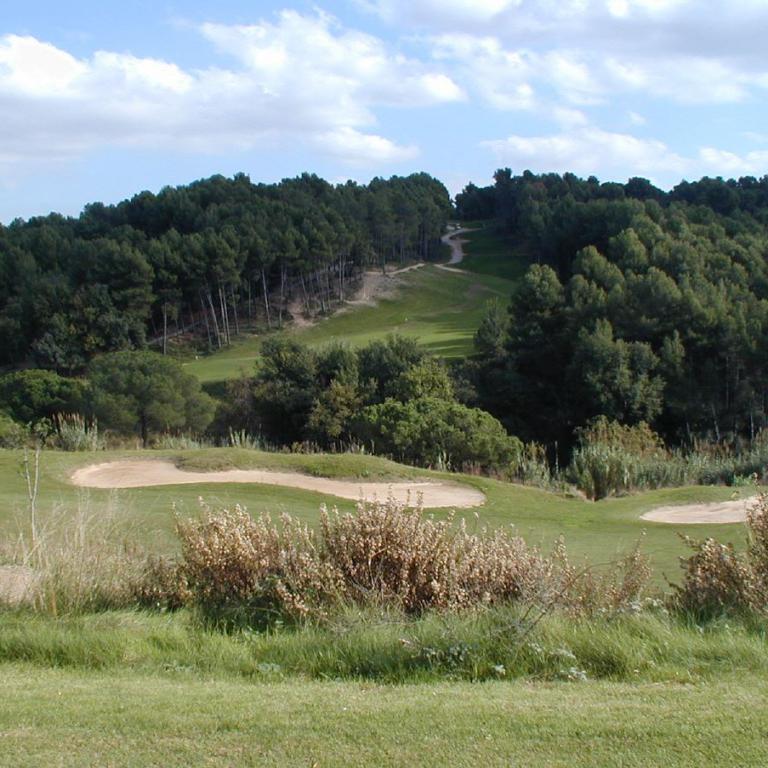 Ein Blick auf einen Golfplatz, der durch einen dichten Wald und grüne Wiesen führt.