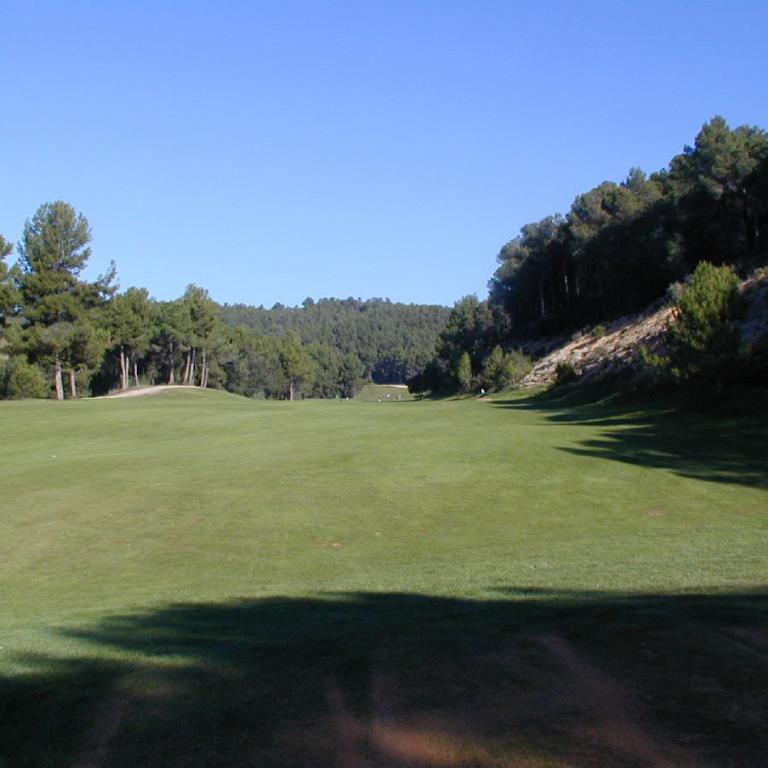 Eine weite, grüne Rasenfläche auf einem Golfplatz mit Waldgrenze und blauem Himmel.