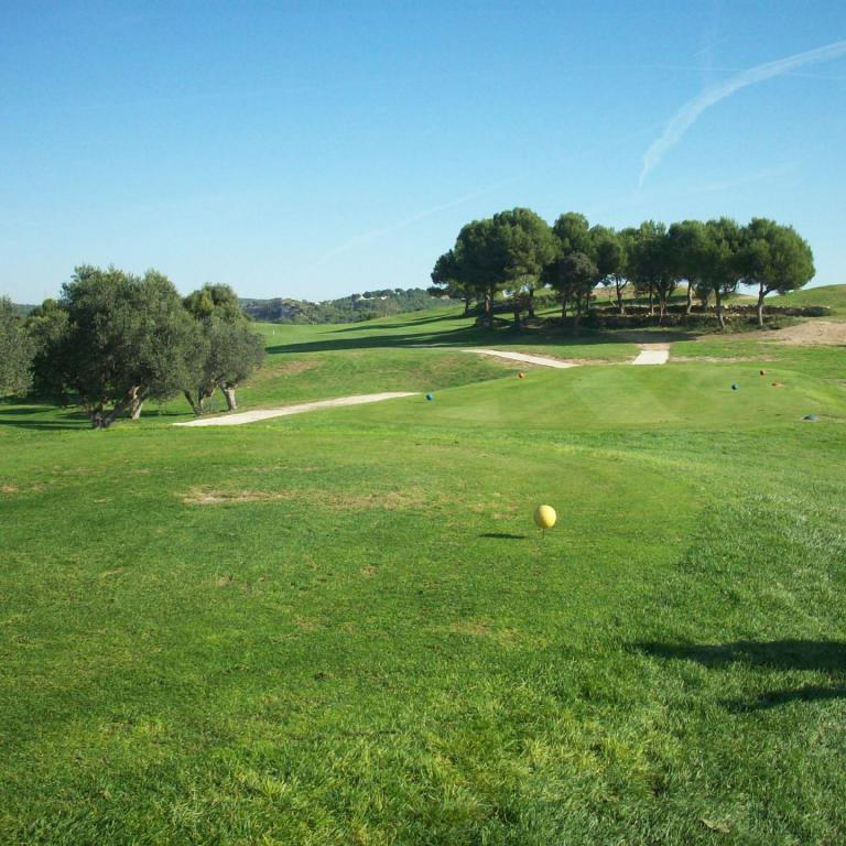 Eine weite Aufnahme eines Golfplatzes mit sattgrünem Rasen, Bäumen und blauem Himmel.