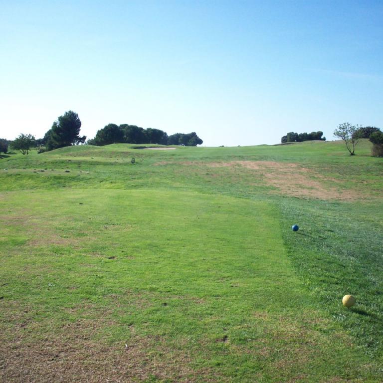 Weitläufiger Golfplatz mit sattgrünen Rasenflächen unter blauem Himmel
