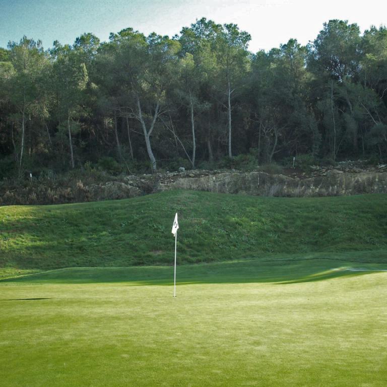 Ein Golfplatz mit einem Fahnenmast auf einem grünen Grün und einem dichten Waldhintergrund.