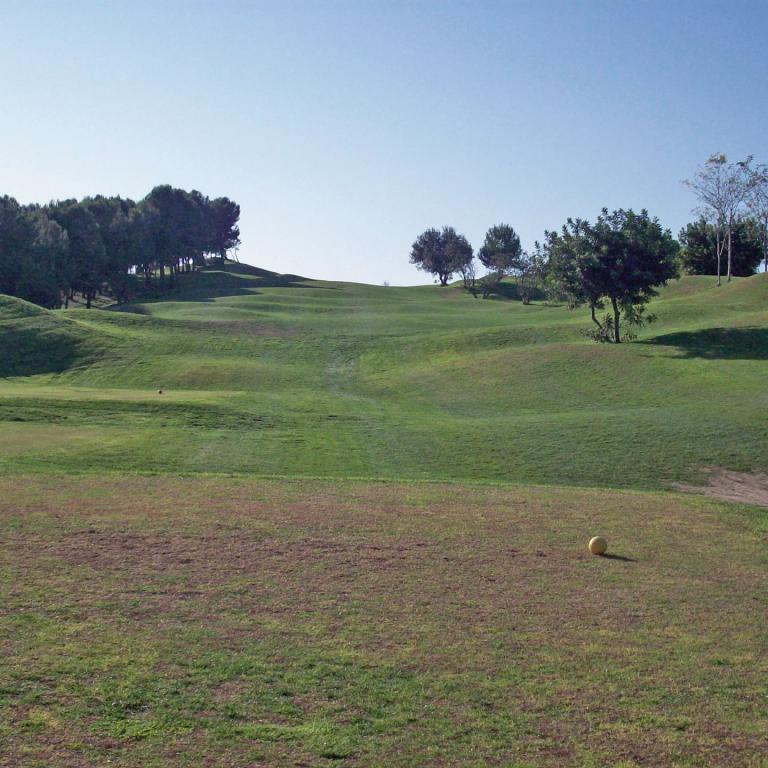 Sonniger Ausblick auf einen Golfplatz mit sanft gewellten Grünflächen und Bäumen im Hintergrund.