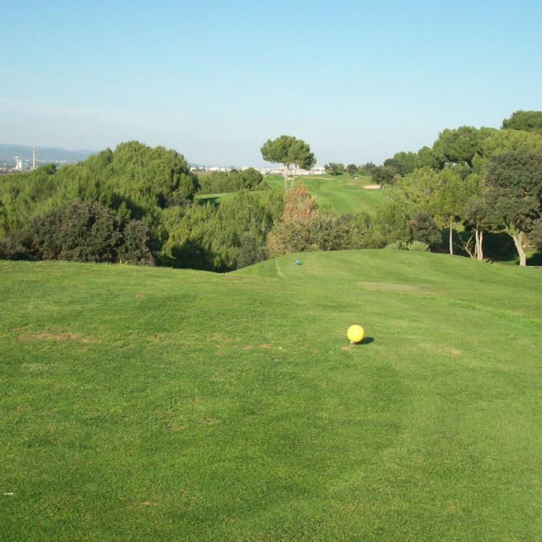 Ein breiter, gepflegter Grünbereich eines Golfplatzes mit einem gelb gefärbten Golfball im Vordergrund.