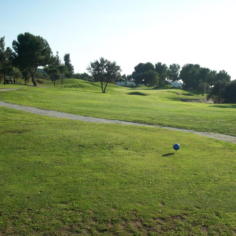Eine Aufnahme eines Golfplatzes mit einem gewundenen Weg, auf dem ein blauer Golfball liegt und Bäume im Hintergrund zu sehen sind.