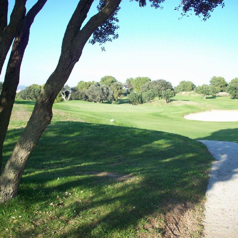 Ein Blick auf einen Golfplatz mit Schatten von Bäumen im Vordergrund