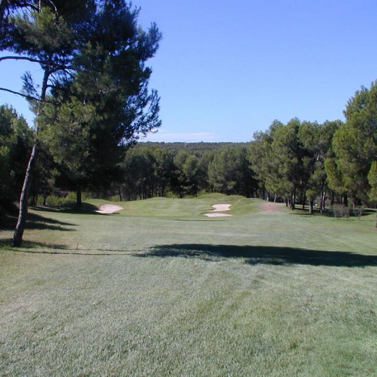Eine Aufnahme eines Golfplatzes mit gepflegtem Grün, Bäumen und einem blauen Himmel.